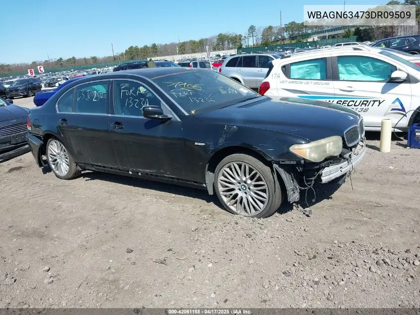 2003 BMW 745Li VIN: WBAGN63473DR09509 Lot: 42061188