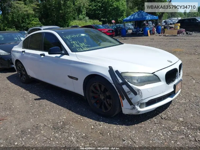 2009 BMW 750I VIN: WBAKA83579CY34710 Lot: 42504533