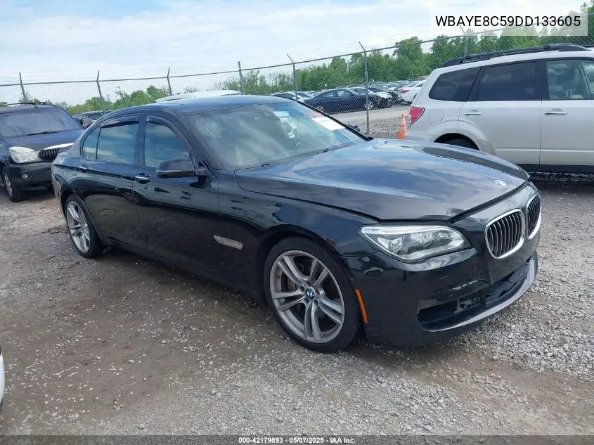 2013 BMW 750Li VIN: WBAYE8C59DD133605 Lot: 42179893