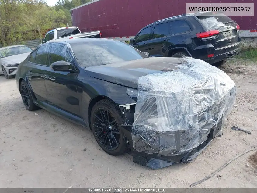 2025 BMW M5 VIN: WBS83FK02SCT09957 Lot: 12308515