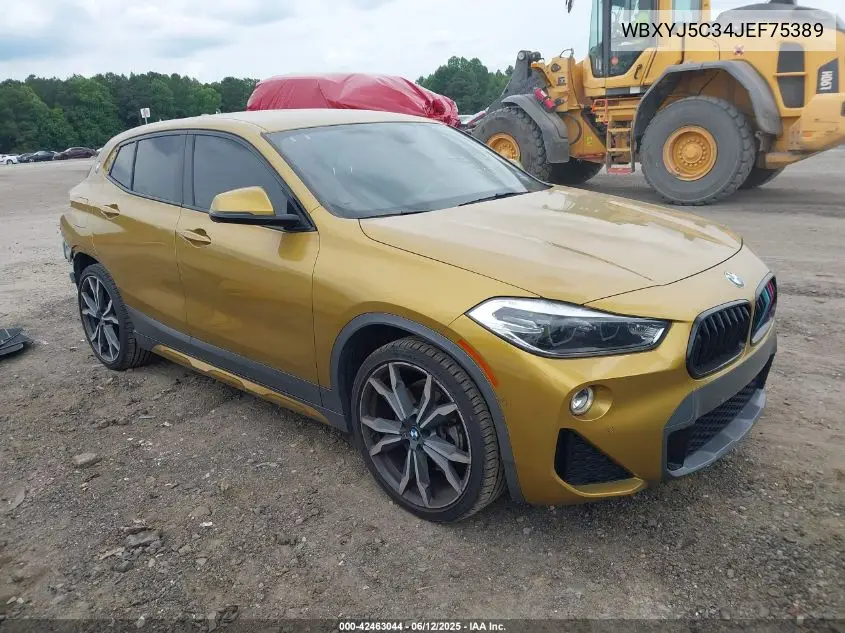2018 BMW X2 xDrive28I VIN: WBXYJ5C34JEF75389 Lot: 42463044