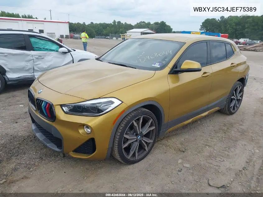 2018 BMW X2 xDrive28I VIN: WBXYJ5C34JEF75389 Lot: 42463044