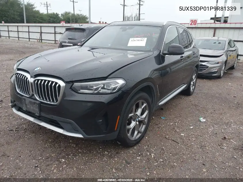 2023 BMW X3 xDrive30I VIN: 5UX53DP01P9R81339 Lot: 42670582