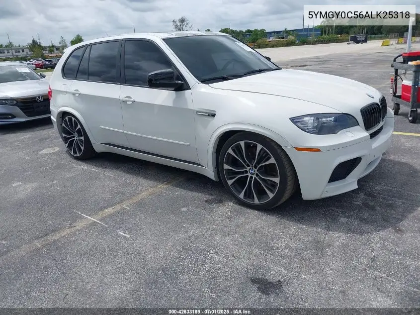 2010 BMW X5 M VIN: 5YMGY0C56ALK25318 Lot: 42633189