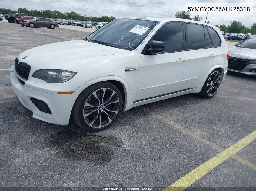 2010 BMW X5 M VIN: 5YMGY0C56ALK25318 Lot: 42633189