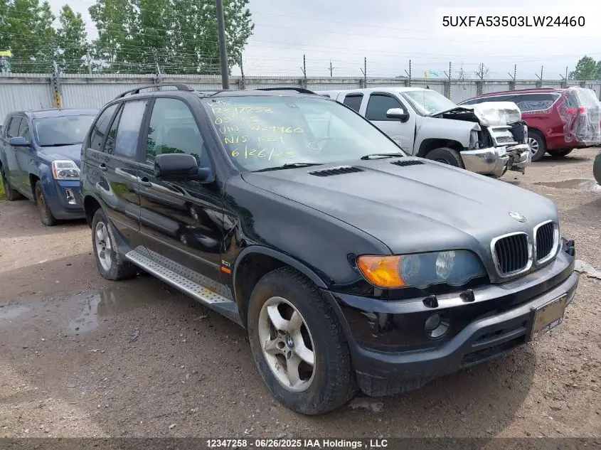 2003 BMW X5 3.0I VIN: 5UXFA53503LW24460 Lot: 12347258