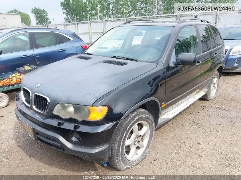 2003 BMW X5 3.0I VIN: 5UXFA53503LW24460 Lot: 12347258