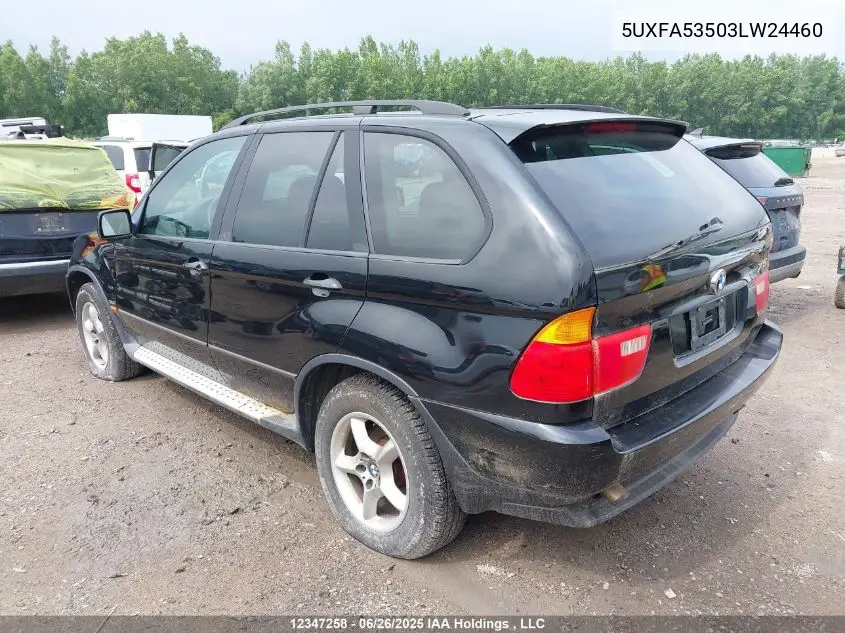 2003 BMW X5 3.0I VIN: 5UXFA53503LW24460 Lot: 12347258