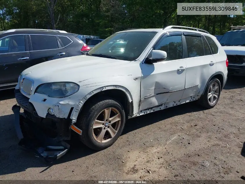 2009 BMW X5 xDrive48I VIN: 5UXFE83559L309846 Lot: 42155286