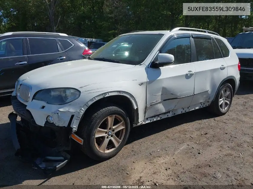 2009 BMW X5 xDrive48I VIN: 5UXFE83559L309846 Lot: 42155286