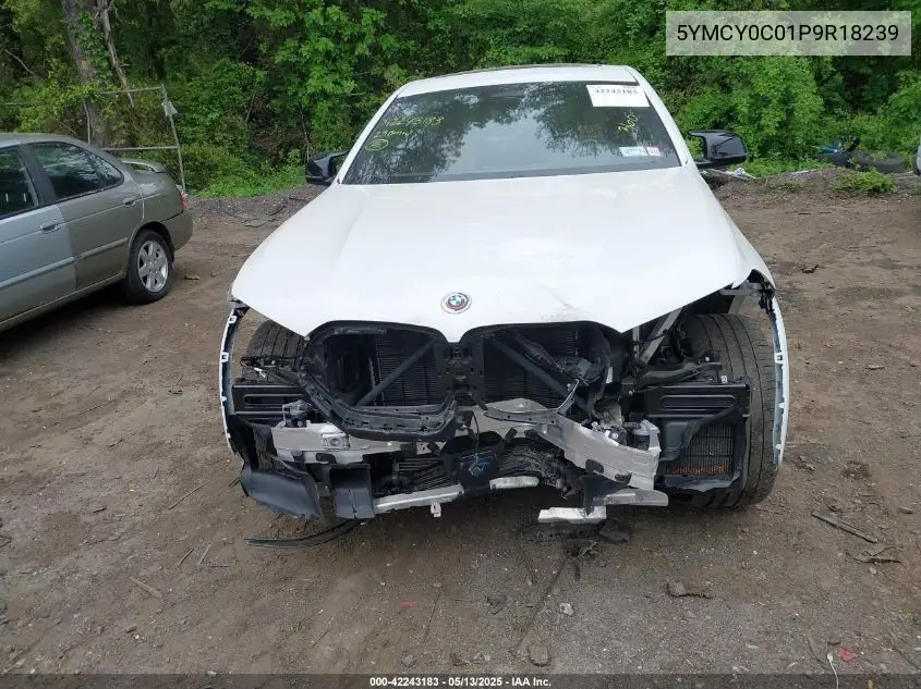 2023 BMW X6 M VIN: 5YMCY0C01P9R18239 Lot: 42243183