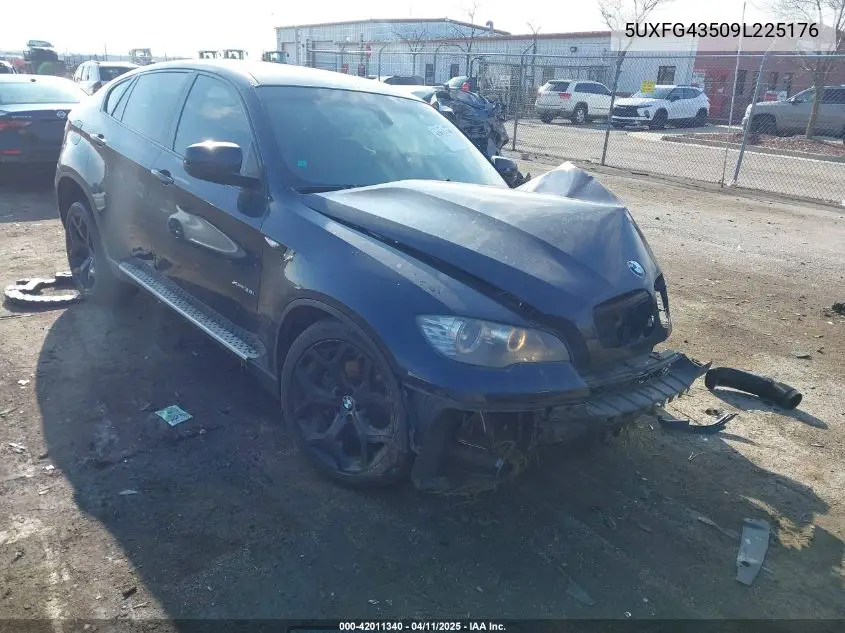 2009 BMW X6 xDrive35I VIN: 5UXFG43509L225176 Lot: 42011340