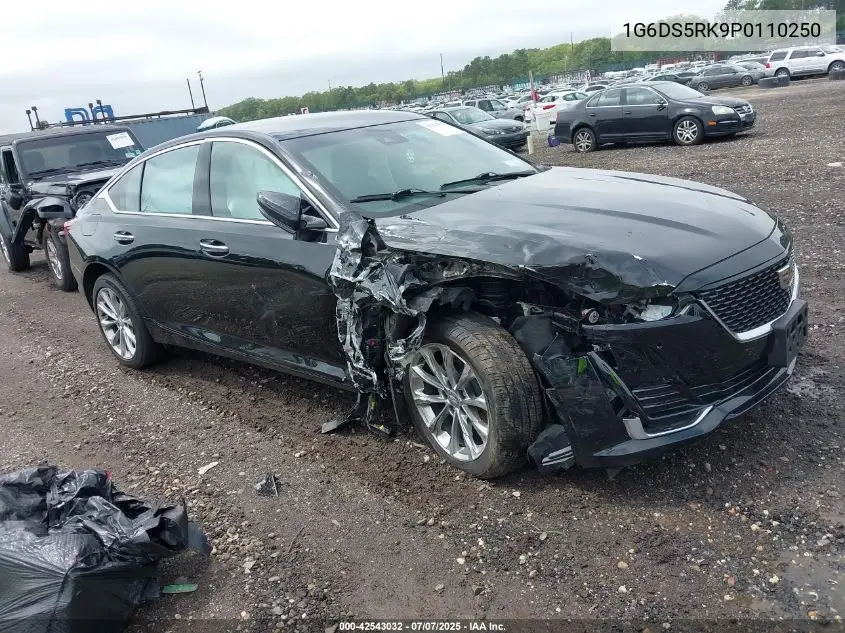 2023 Cadillac Ct5 Premium Luxury VIN: 1G6DS5RK9P0110250 Lot: 42543032