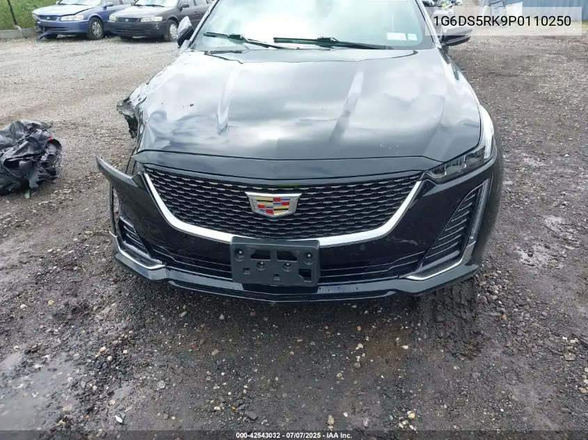 2023 Cadillac Ct5 Premium Luxury VIN: 1G6DS5RK9P0110250 Lot: 42543032