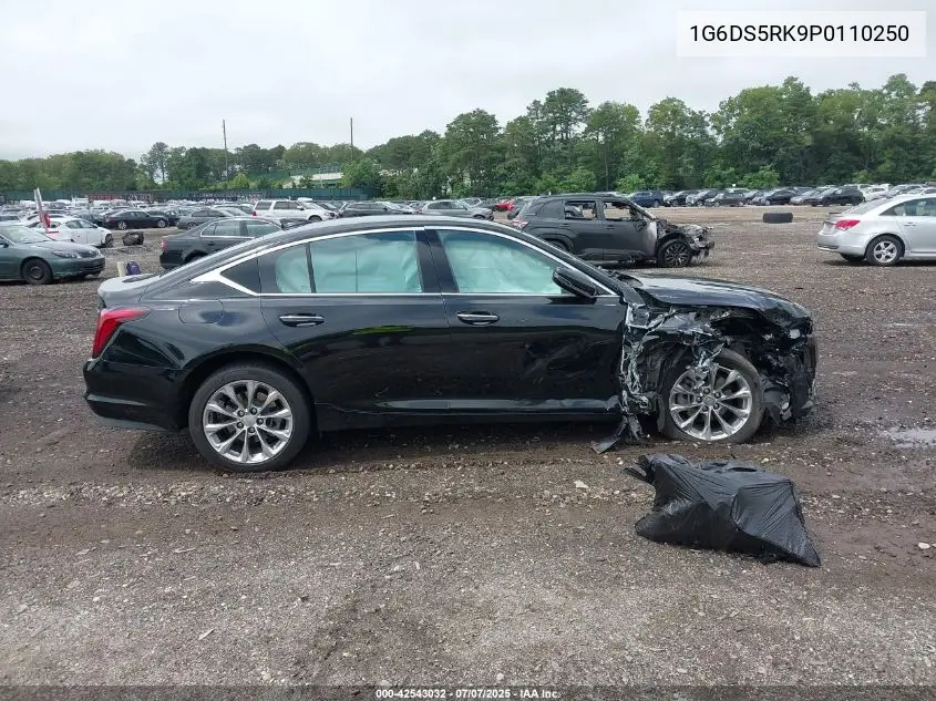 2023 Cadillac Ct5 Premium Luxury VIN: 1G6DS5RK9P0110250 Lot: 42543032