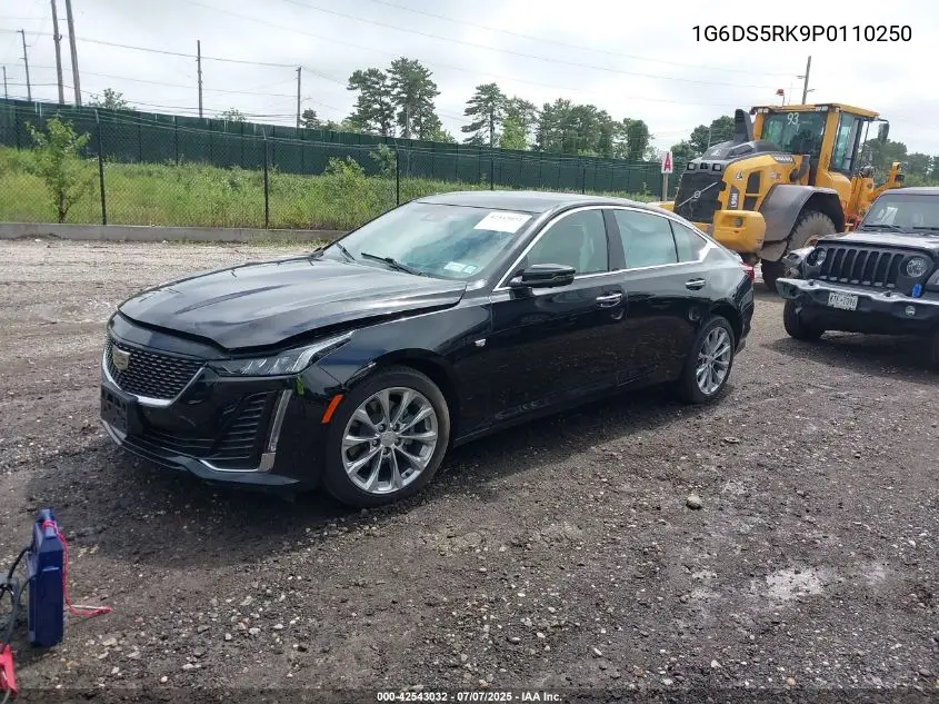 2023 Cadillac Ct5 Premium Luxury VIN: 1G6DS5RK9P0110250 Lot: 42543032