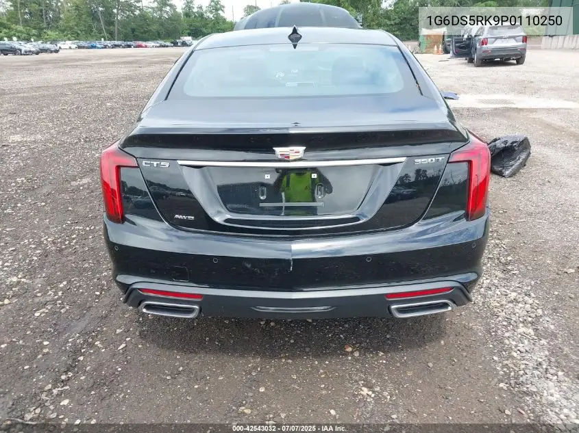 2023 Cadillac Ct5 Premium Luxury VIN: 1G6DS5RK9P0110250 Lot: 42543032