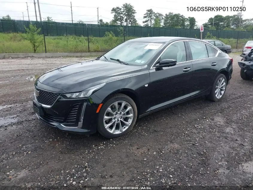2023 Cadillac Ct5 Premium Luxury VIN: 1G6DS5RK9P0110250 Lot: 42543032