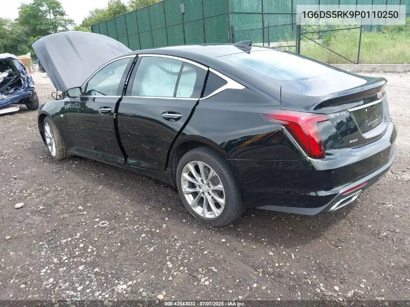 2023 Cadillac Ct5 Premium Luxury VIN: 1G6DS5RK9P0110250 Lot: 42543032