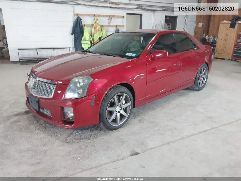 2005 Cadillac Cts-V VIN: 1G6DN56S150202820 Lot: 42493991