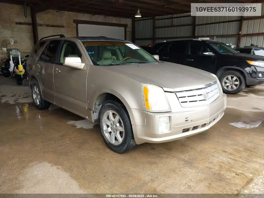 2006 Cadillac Srx V6 VIN: 1GYEE637160193975 Lot: 42187852