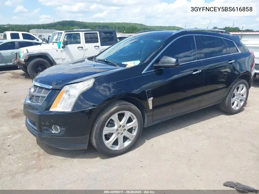 2011 Cadillac Srx Premium Collection VIN: 3GYFNCEY5BS616858 Lot: 42590317