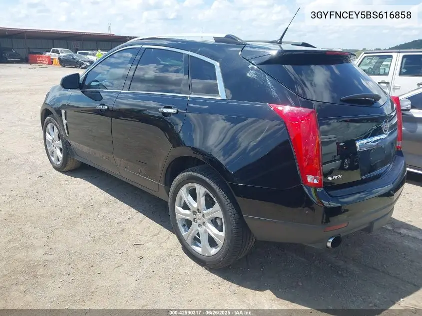 2011 Cadillac Srx Premium Collection VIN: 3GYFNCEY5BS616858 Lot: 42590317