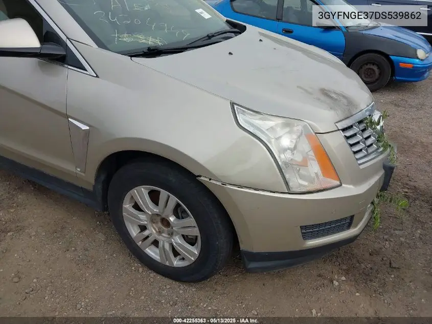 2013 Cadillac Srx Luxury Collection VIN: 3GYFNGE37DS539862 Lot: 42255363