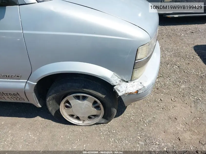 2000 Chevrolet Astro VIN: 1GNDM19W9YB199429 Lot: 42393968