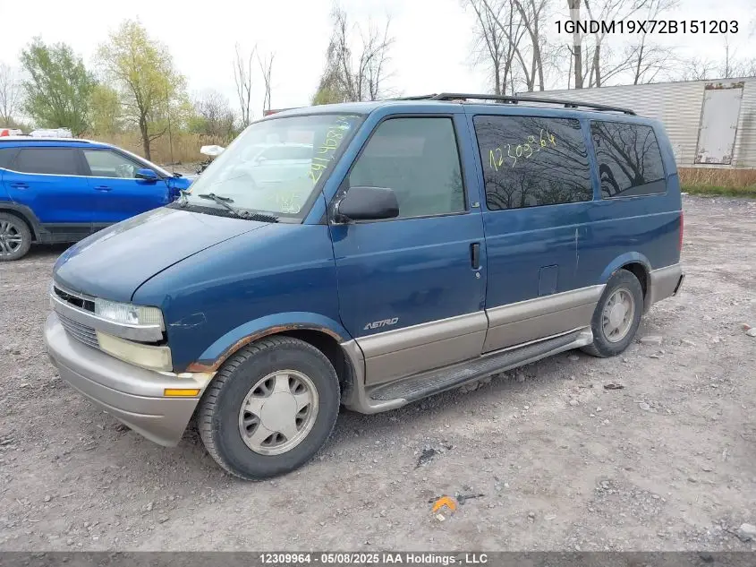 2002 Chevrolet Astro VIN: 1GNDM19X72B151203 Lot: 12309964X