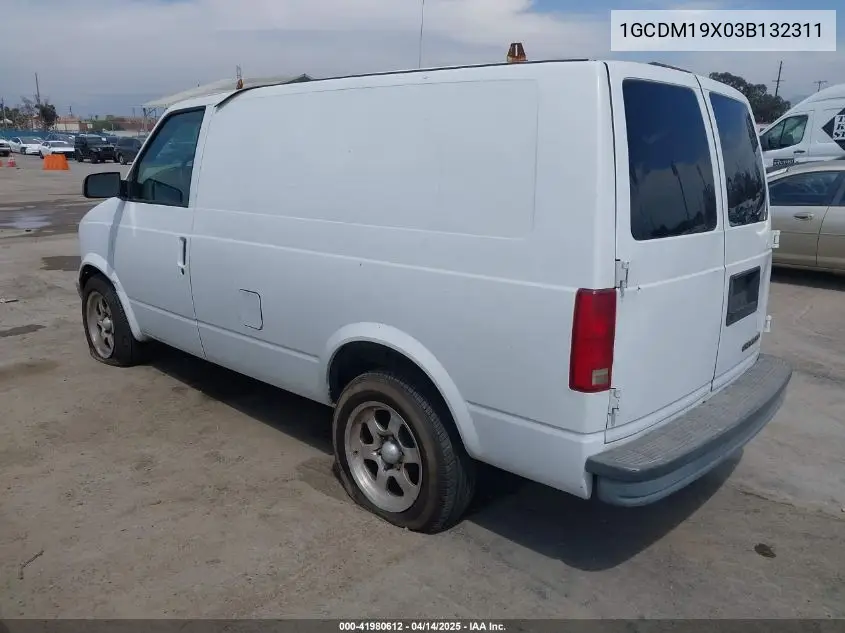 2003 Chevrolet Astro VIN: 1GCDM19X03B132311 Lot: 41980612