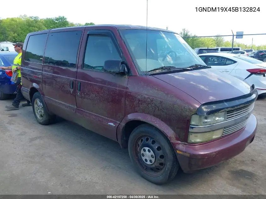 2005 Chevrolet Astro VIN: 1GNDM19X45B132824 Lot: 42157258