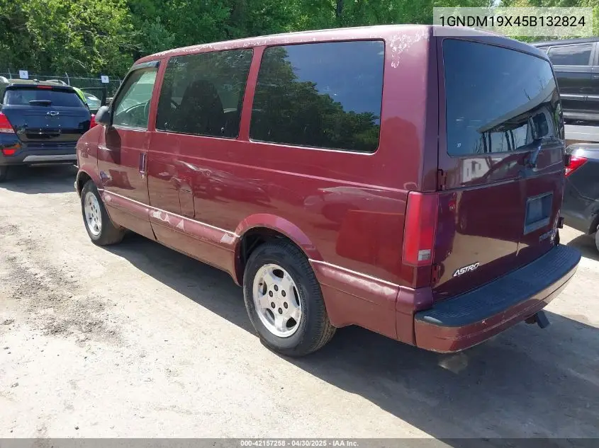 2005 Chevrolet Astro VIN: 1GNDM19X45B132824 Lot: 42157258