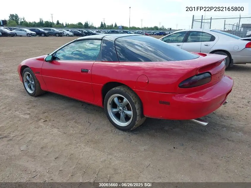 1995 Chevrolet Camaro Z28 VIN: 2G1FP22P2S2165800 Lot: 30065660