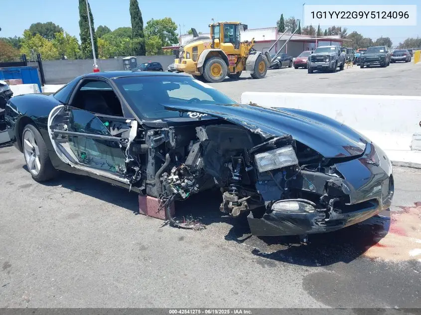2000 Chevrolet Corvette VIN: 1G1YY22G9Y5124096 Lot: 42541275