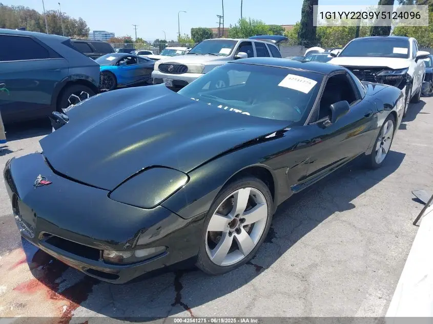 2000 Chevrolet Corvette VIN: 1G1YY22G9Y5124096 Lot: 42541275