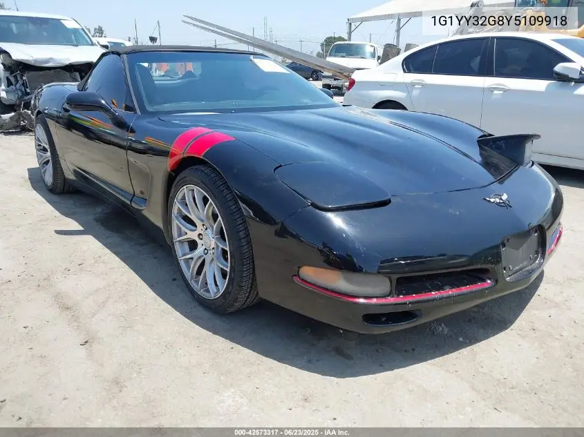 2000 Chevrolet Corvette VIN: 1G1YY32G8Y5109918 Lot: 42573317