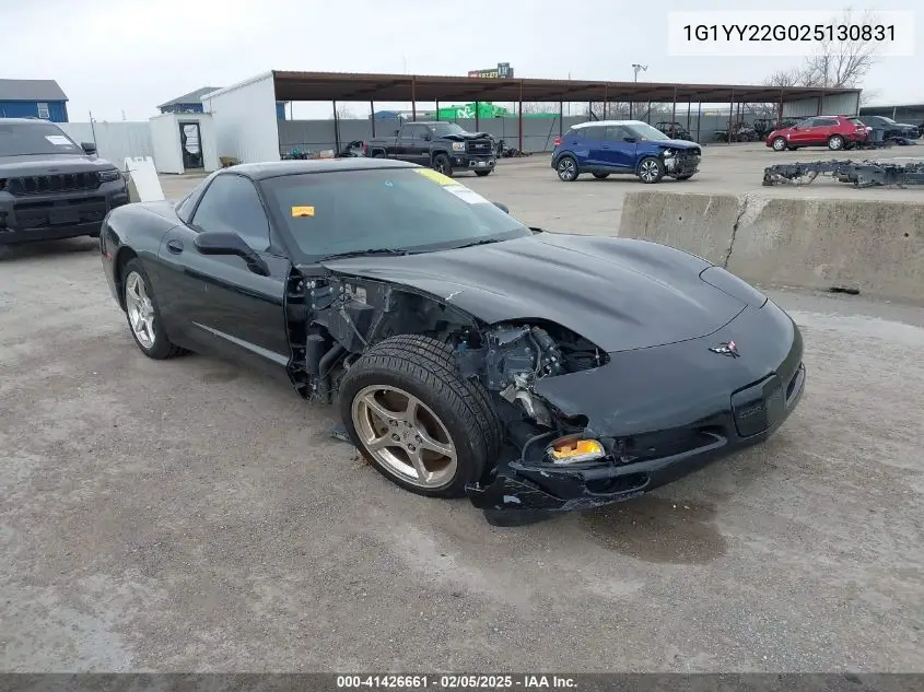 2002 Chevrolet Corvette VIN: 1G1YY22G025130831 Lot: 41426661