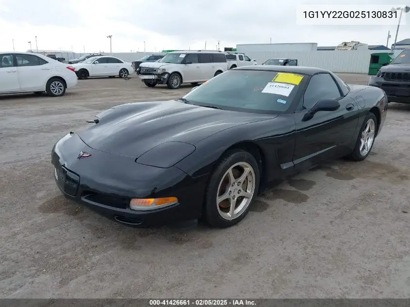 2002 Chevrolet Corvette VIN: 1G1YY22G025130831 Lot: 41426661