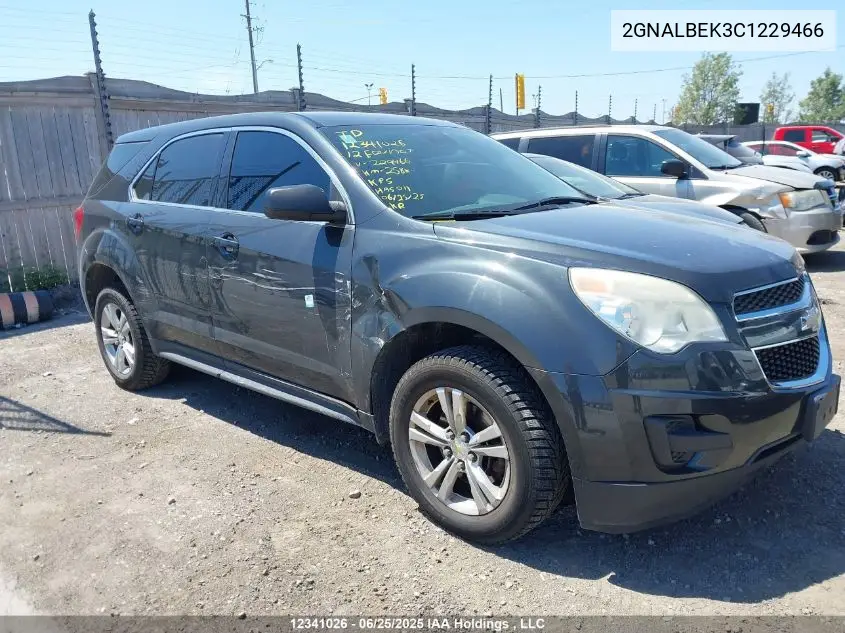 2012 Chevrolet Equinox Ls VIN: 2GNALBEK3C1229466 Lot: 12341026