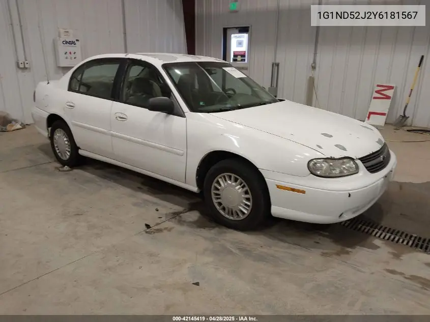 2000 Chevrolet Malibu VIN: 1G1ND52J2Y6181567 Lot: 42145419