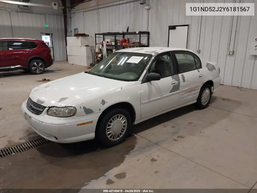 2000 Chevrolet Malibu VIN: 1G1ND52J2Y6181567 Lot: 42145419