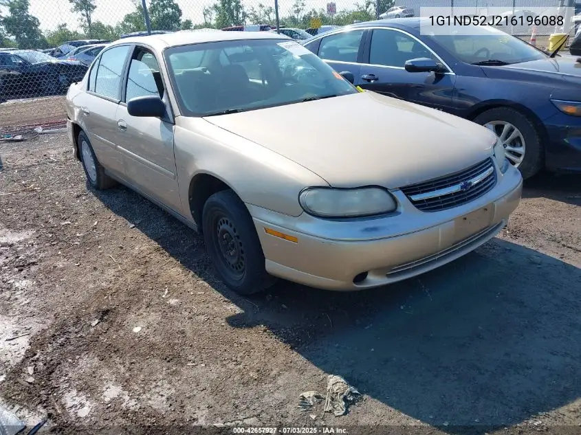2001 Chevrolet Malibu VIN: 1G1ND52J216196088 Lot: 42657927