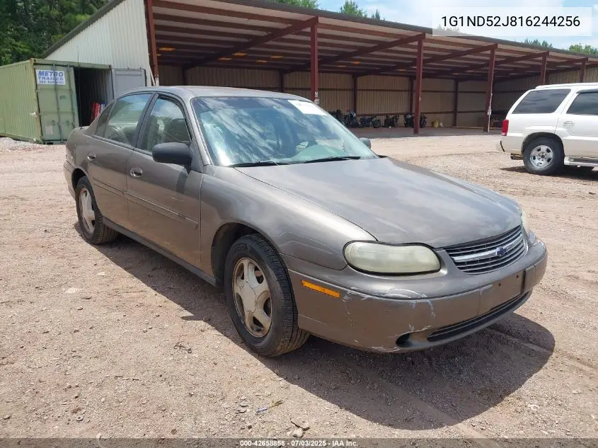 2001 Chevrolet Malibu VIN: 1G1ND52J816244256 Lot: 42658858