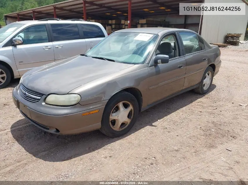 2001 Chevrolet Malibu VIN: 1G1ND52J816244256 Lot: 42658858