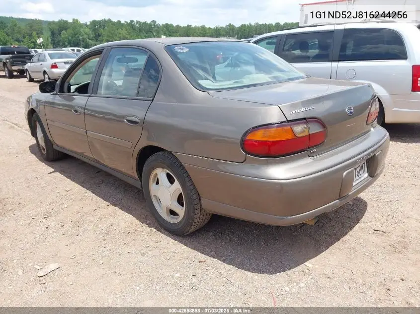 2001 Chevrolet Malibu VIN: 1G1ND52J816244256 Lot: 42658858