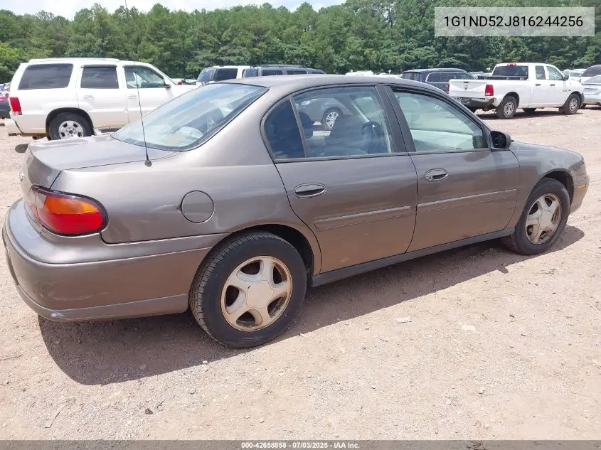 2001 Chevrolet Malibu VIN: 1G1ND52J816244256 Lot: 42658858