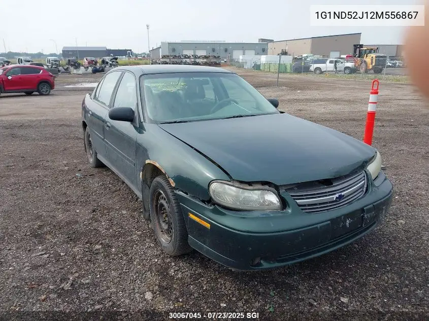 2002 Chevrolet Malibu VIN: 1G1ND52J12M556867 Lot: 30067045