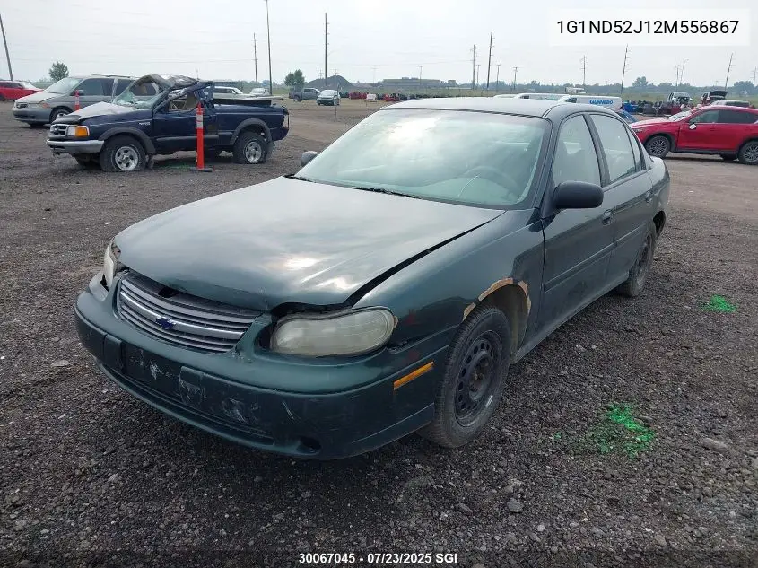 2002 Chevrolet Malibu VIN: 1G1ND52J12M556867 Lot: 30067045