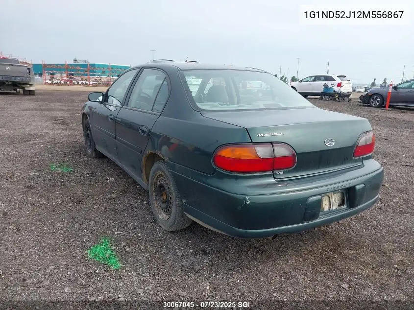 2002 Chevrolet Malibu VIN: 1G1ND52J12M556867 Lot: 30067045